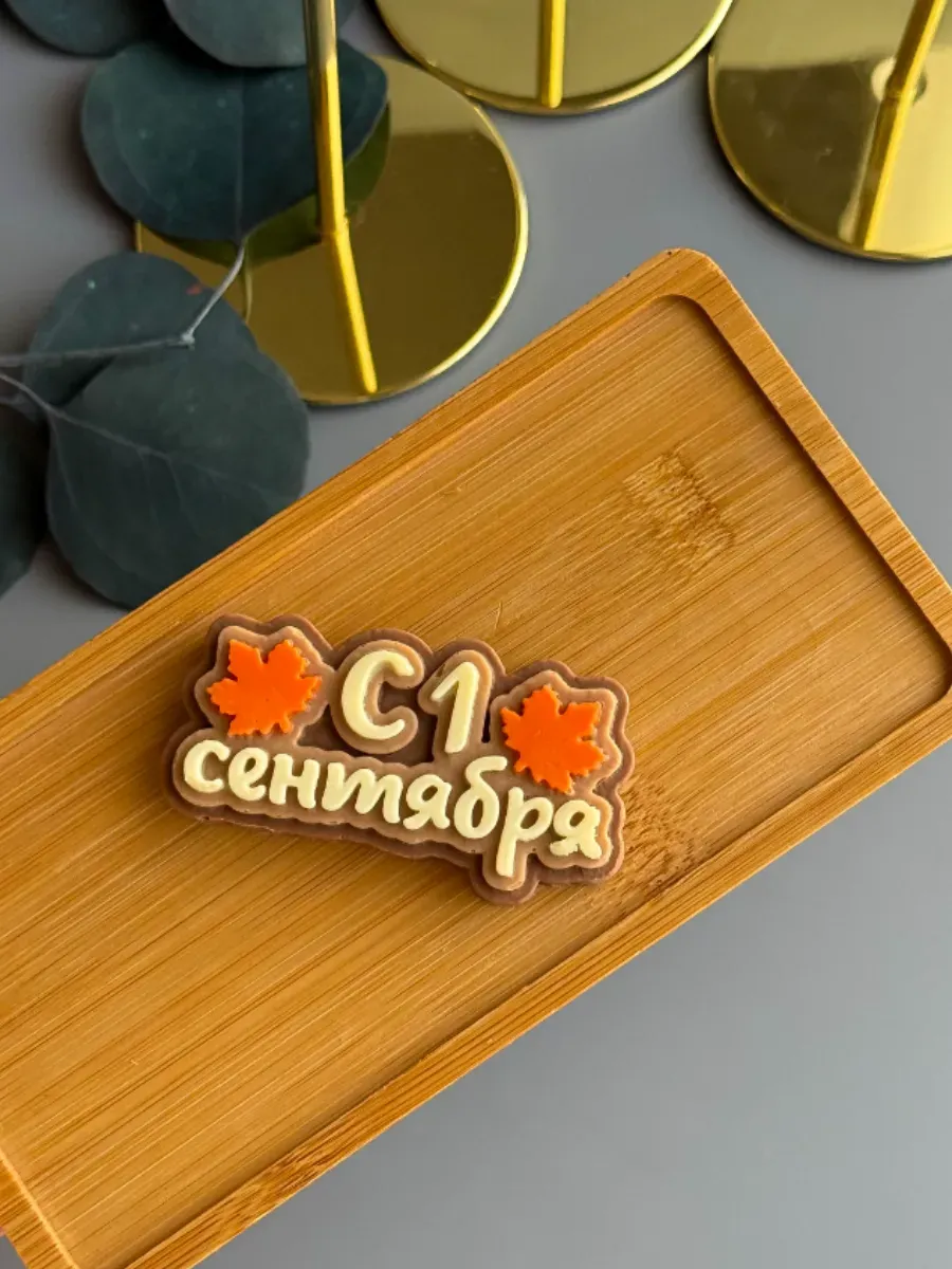 Силиконовый молд для шоколада "С 1 сентября"